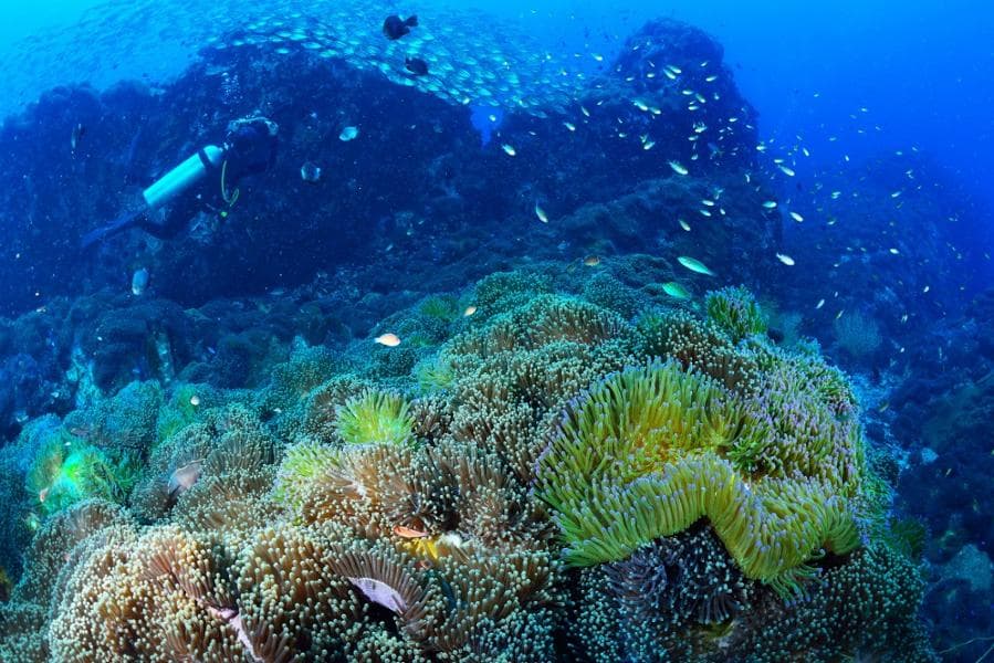 Jour 8