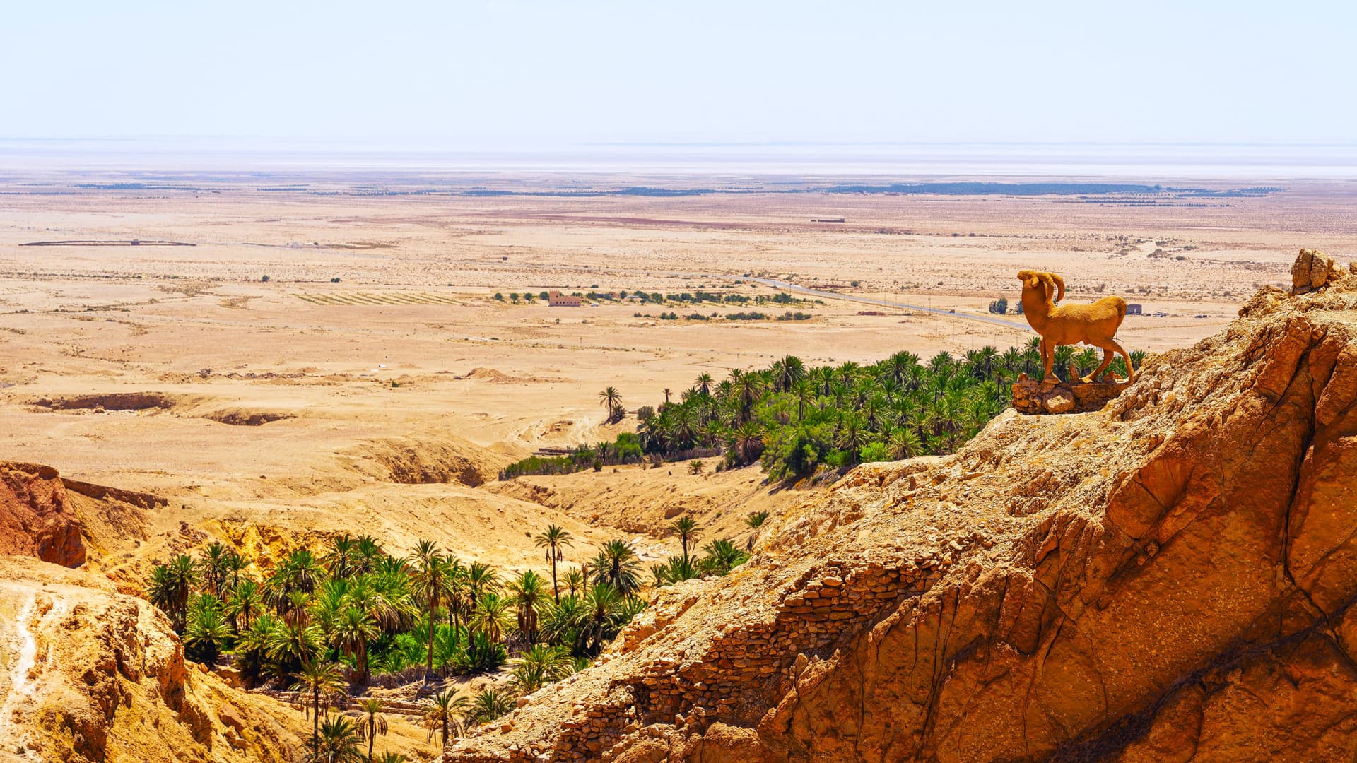 Sahara et oasis
